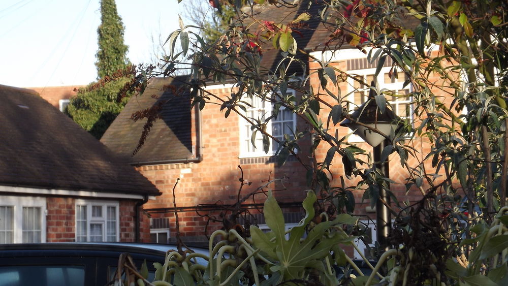 The Peacock Townhouse Hotel Kenilworth - Warwick Esterno foto